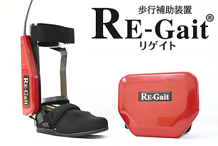 RE-Gait